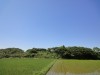 写真は先週の「日本晴れ」です。暦では二四節の穀雨が4月20日(旧3月14日)ですが、今年は「春霖」そのものでした。5月1日(旧3月25日)が八十八夜、5日(旧3月29日)が立夏です。快晴は雲が空全体