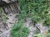 温泉での護岸にも貢献。この柱状節理は伊豆の浄蓮の滝でも有名。下段左は大たに川の夜景。「山の手線の電車に跳飛ばされて怪我をした・・・」で始まる「城の崎にて」。その養生のため