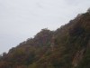 華厳の滝の側面の岩肌です。どこかで観た記憶がすぐに戻ってきました。そうです、兵庫の富岡の玄武洞であります。伊豆の浄蓮の滝もそうですが、大昔の活発な火山活動の証明なのです。