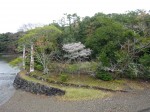 内宮に入る鳥居です。鳥居がいくつかあって、これから先は何度か一礼をします。鳥居をくぐって宇治橋を渡り、右に折れてしばらく歩けば目的の正宮に辿り着きます。中段右の写真が宇治