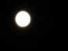 2011年8月12日夜遅くの11時29分の本郷北方の空に輝くお月さんだ。8月12日正午の月齢は12.3で満月ではない。潮は中潮。月齢と潮の満ち引き、月の欠け方の勉強は来月の仲秋の名月の頃に回すと