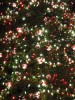 今年も11月12日から御目見えしている銀座4丁目のMIKIMOTO本店前の「ミキモトガーデンプラザ」の「ミキモト ジャンボクリスマスツリー」。1976年以来34年目とのことだ。12月25日まで楽しませて