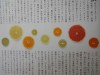 2つの写真は「銀座・和光」から送られてくる「チャイム」から。今月の「日本の食文化探訪」(最終回)は「蜜柑」。割面を見て種や品種が分ればプロだろうが、無理。ところで、「橘通り」
