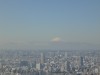 スカイツリ―に魅かれて、生れて初めて東京タワーに登った、とは正確ではなかろう。エレベーターに乗せて貰って150mの大展望台へ上(のぼ)ったのだ。それから階段を二階ほど、それこそ自